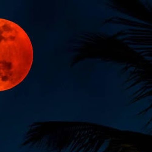 Brasil inteiro poderá acompanhar eclipse lunar em agosto; saiba quando observar