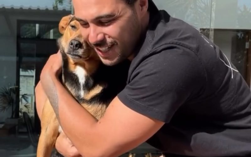 Veterinário emociona a web ao contar como resgatou a cadela Vitória