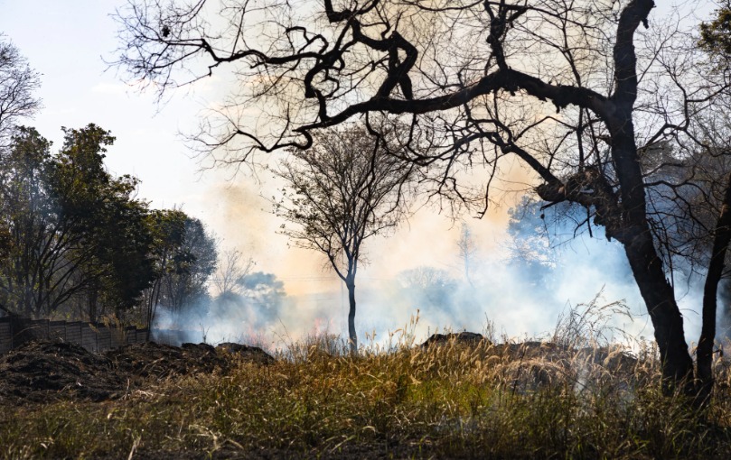 Goiás reduz focos de queimadas em 33% em julho, mas seca extrema mantém estado em alerta