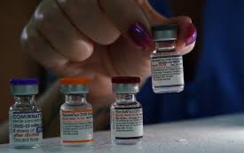 Anvisa determina atualização das vacinas contra Covid-19 para combater novas variantes