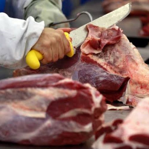 Tarifaço dos EUA deve ter impacto limitado em Goiás, aponta Seapa