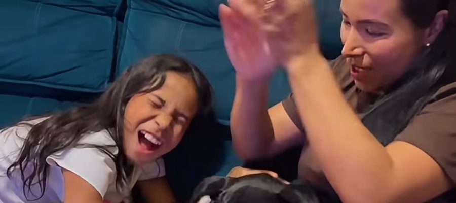 Cãozinho “Dipirona” ganha um novo lar após duas semanas à espera do tutor em UPA de Goiânia