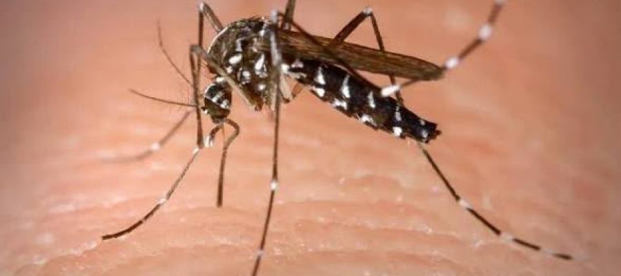 Apenas 33% dos adolescentes que iniciaram vacinação contra dengue retornaram para segunda dose em Goiás