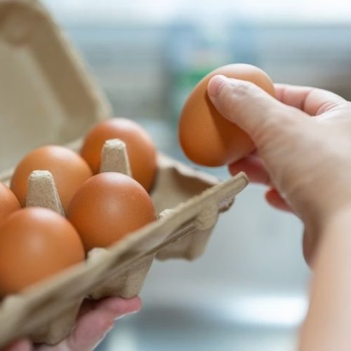 Exportações brasileiras de ovos disparam 271% em abril e consolidam novos mercados como EUA e Japão